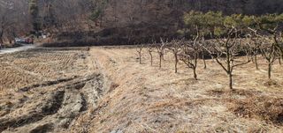 반성식님의 기타작물 · 영농일지 작성글 사진