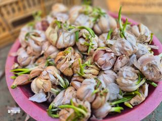 늘햇살팜 님의 기타작물 · 영농일지 작성글 사진