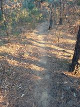 팜모닝 기타작물·영농일지 게시글 이미지