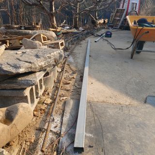 가로수님의 기타작물 · 영농일지 작성글 사진