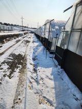 김저팔계님의 작성글 사진