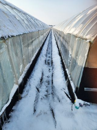 김저팔계님의 작성글 사진