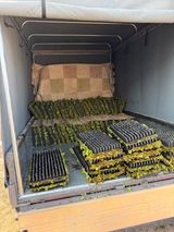 곰근이네흙밭님의 작성글 사진