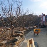 팜모닝 기타작물·영농일지 게시글 이미지