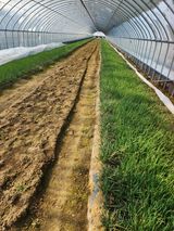 김저팔계님의 작성글 사진