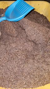 대봉농원 이경화님의 작성글 사진