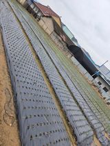 백현호님의 작성글 사진