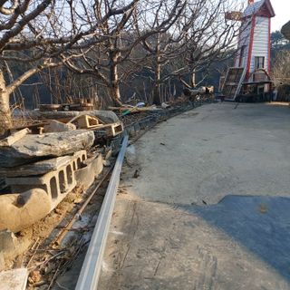 가로수님의 기타작물 · 영농일지 작성글 사진