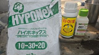 박범순님의 오이 · 영농일지 작성글 사진