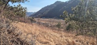 정진필님의 기타작물 · 영농일지 작성글 사진