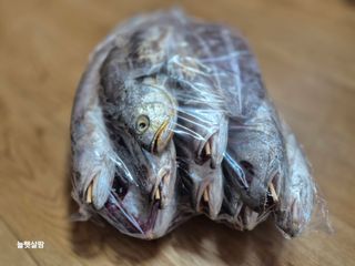 늘햇살팜 님의 기타작물 · 영농일지 작성글 사진