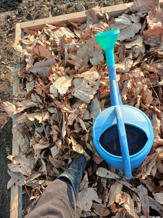 김홍중님의 기타작물 · 영농일지 작성글 사진