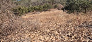 정진필님의 기타작물 · 영농일지 작성글 사진