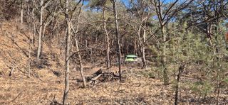 정진필님의 기타작물 · 영농일지 작성글 사진