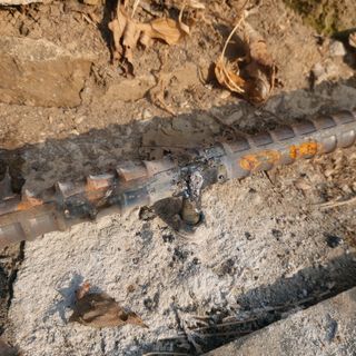 가로수님의 기타작물 · 영농일지 작성글 사진