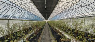 류근택님의 작성글 사진