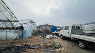 김성진님의 양배추 · 영농일지 작성글 사진