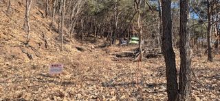 정진필님의 기타작물 · 영농일지 작성글 사진