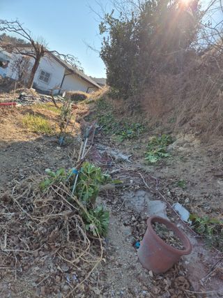 낙엽교목류11048님의 기타작물 · 영농일지 작성글 사진