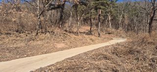 정진필님의 기타작물 · 영농일지 작성글 사진