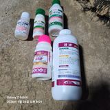 팜모닝 기타작물·영농일지 게시글 이미지