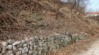 금원산농장님의 감 · 영농일지 작성글 사진