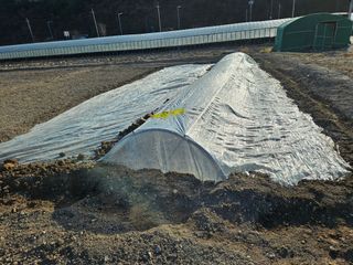 부추사랑님의 기타작물 · 영농일지 작성글 사진