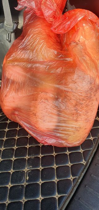 김익중님의 기타작물 · 영농일지 작성글 사진