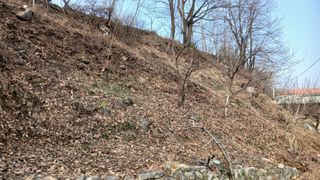 금원산농장님의 감 · 영농일지 작성글 사진