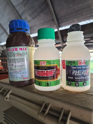 안병찬님의 딸기 · 영농일지 작성글 사진