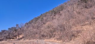 정진필님의 기타작물 · 영농일지 작성글 사진