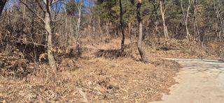 정진필님의 기타작물 · 영농일지 작성글 사진