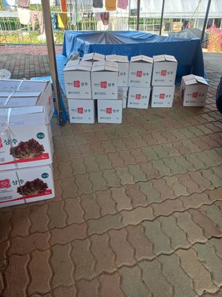 농민님의 시금치 · 영농일지 작성글 사진