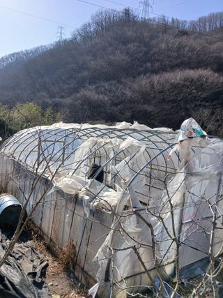 이종득님의 기타작물 · 영농일지 작성글 사진