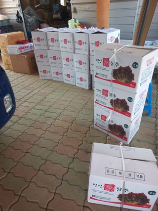 농민님의 시금치 · 영농일지 작성글 사진