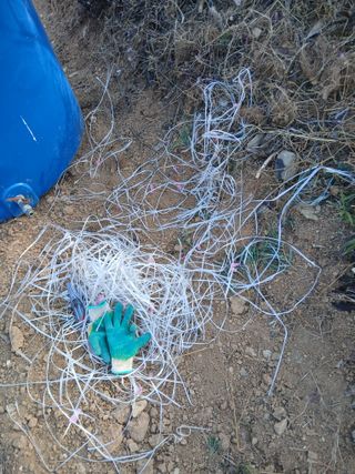 김명자님의 기타작물 · 영농일지 작성글 사진