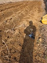 아하론님의 작성글 사진