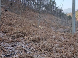 무주설천면 반딧팝님의 기타작물 · 영농일지 작성글 사진