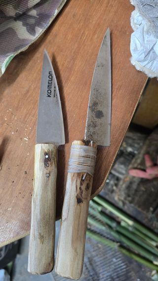 대박농장신초시님의 기타작물 · 영농일지 작성글 사진