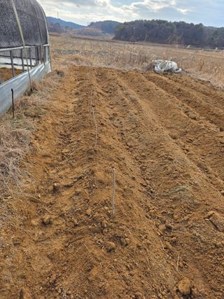 아하론님의 작성글 사진