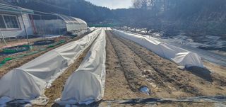 박상중님의 기타작물 · 영농일지 작성글 사진