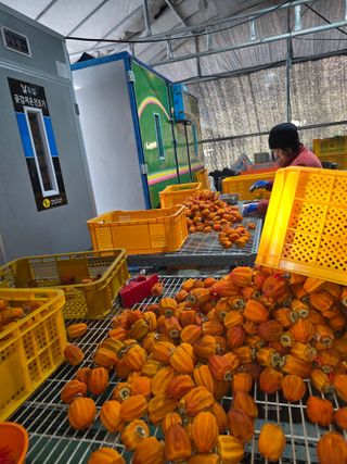 전은식님의 기타작물 · 영농일지 작성글 사진