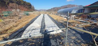 박상중님의 기타작물 · 영농일지 작성글 사진