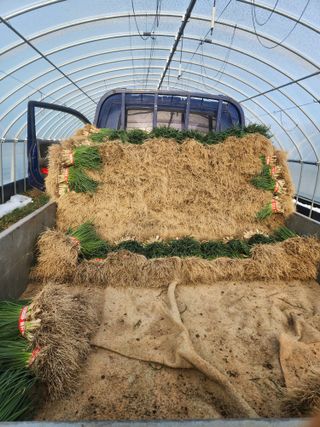 김저팔계님의 작성글 사진