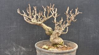 이정운님의 기타작물 · 영농일지 작성글 사진