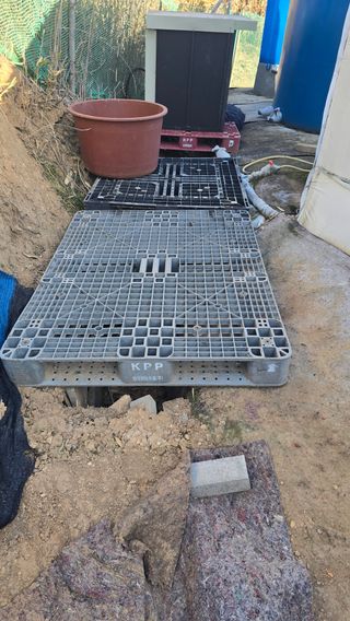 대박농장신초시님의 기타작물 · 영농일지 작성글 사진