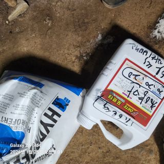 김성훈님의 기타작물 · 영농일지 작성글 사진