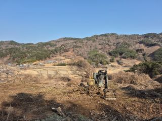 선암농군님의 두릅 · 영농일지 작성글 사진