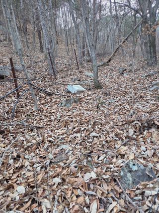 무주설천면 반딧팝님의 기타작물 · 영농일지 작성글 사진