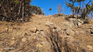 염봉섭님의 기타작물 · 영농일지 작성글 사진